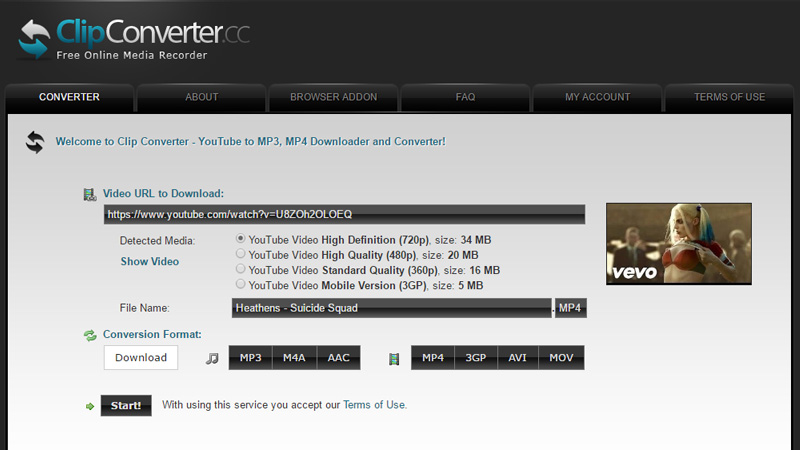 How to Download Directly from YouTube on Mac online direct youtube downloader