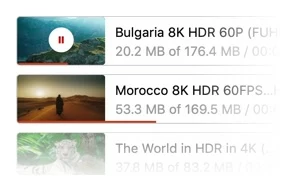 Initiate the download