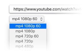 Paste the URL of the video rip music from YouTube